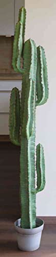 artplants.de Cactus cereo Artificiale Olivero in Vaso, Verde, 160cm - Pianta grassa Finta/Cactus Finto in Vaso