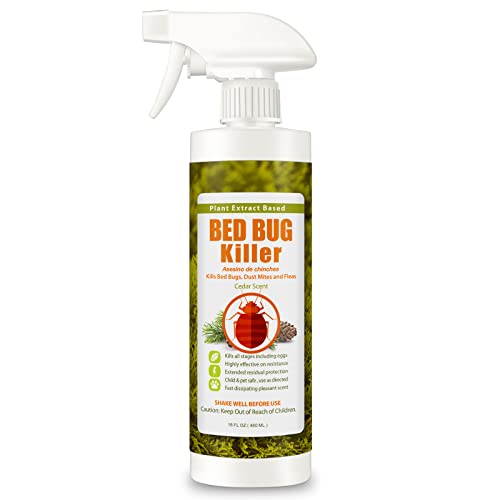 EcoRaider Spray Naturale per cimici dei letti (480 ml), eliminazione rapida al 100% + Elimina uova e insetti resistenti, Protezione residua estesa, Non tossico + Sicuro per bambini e animali domestici