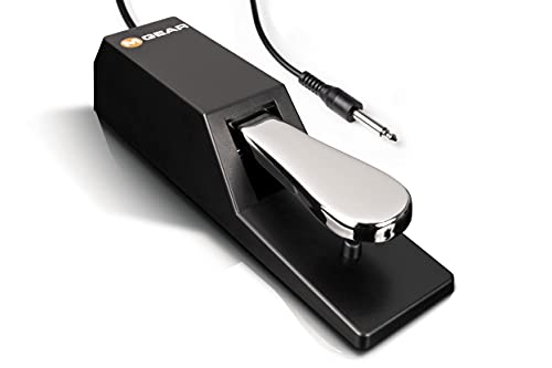 M-Audio SP-2 - Pedale universale Sustain con azione in stile piano, l'accessorio ideale per tastiere MIDI, pianoforti digitali, tastiere elettroniche e altro