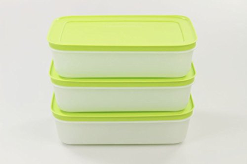 Tupperware Set di 3 contenitori bassi per freezer 29739 da 1,0 l, di colore verde e bianco, in finitura satinata e dal design con cristalli di ghiaccio