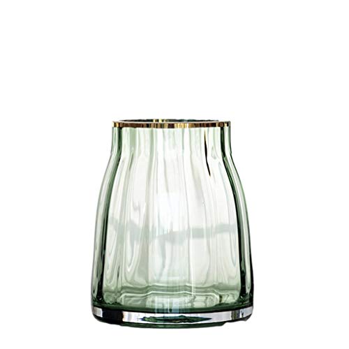 ZZL Home Decor Nordic vaso di vetro riempitivo contenitori floreali moderno vaso di fiori contenitore decorazione ornamento ornamenti (colore A)
