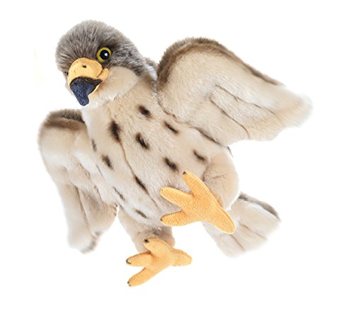 Plush & Company- Windy Hawk Falco Pellegrino Giocattolo Peluche, Multicolore, 30 cm, Plush & Company_15855