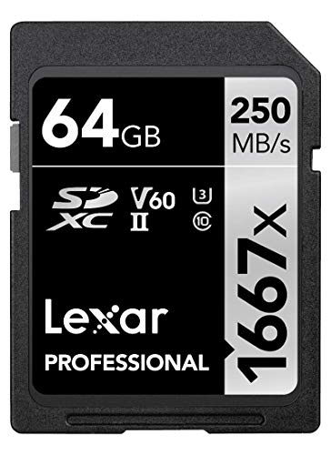 Lexar Professional - Scheda 1667x SDXC - Schede UHS-II, 64GB