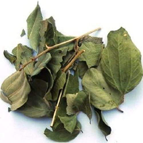 Sidro Foglie: Foglia di jubiere Sidr Naturali Vendute in un vaso richiudibile per proteggere le foglie intere (Rokia Chariaa)
