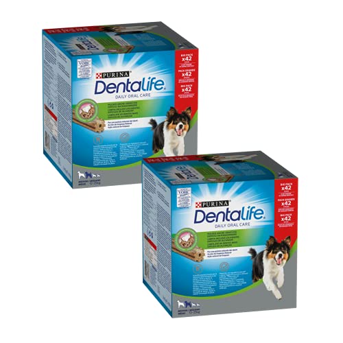 Purina Dentalife Maxi Pack Snack Cane per l'Igiene Orale per Cani di Taglia Media, 2 Confezioni da 42 Sticks