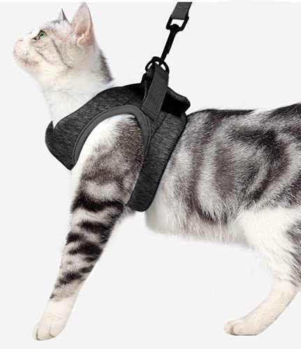 Crea CLEA- Pettorina per gatti ultra leggera e confortevole,con guinzaglio.(L, Nero)