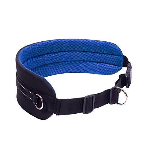 LASALINE Canicross Cintura addominale per guinzaglio cane cane cane trekking cintura in nero blu