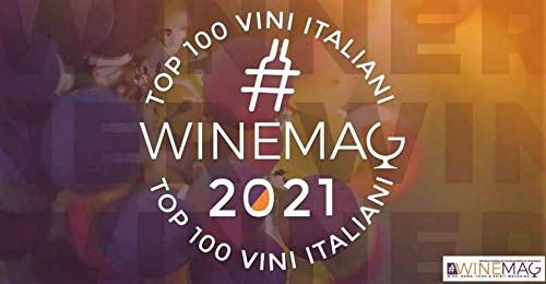 Top 100 migliori vini italiani 2021 WineMag.it: Convenzionali, naturali, biologici, biodinamici e senza solfiti: la classifica senza bandiera né razza (WineMag Editore Vol. 2)