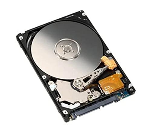 Generic - Hard disk interno da 500 GB, 500 GB, 2,5', 5.400 giri/min, per computer portatile, Mac/PS3 (500 GB)