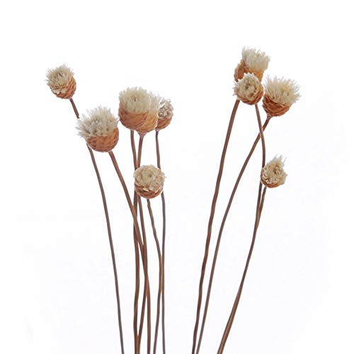 Kslogin - 5 fiori profumati, accessori volatili, piante in rattan, fiori artificiali in rattan, diffusore bastoncini di ricambio per bricolage e decorazione della casa