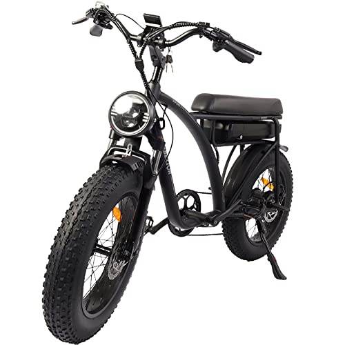 Bezior Bicicletta Elettrica XF001 Bici Elettrica Retro per Adulti,City Bike 20' Fat Bike Elettrica