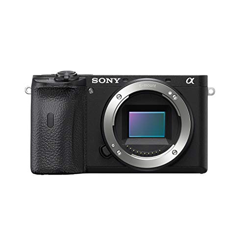 Sony Alpha 6600 | Fotocamera Mirrorless APS-C (AF Rapido in 0.02s , Stabilizzazione Integrata a 5 assi, 4K HLG e Schermo LCD regolabile di 180° per il Vlogging)