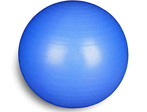 FSTBB65B Total Body Balance Ball | swisse Ball (55 65 75 85 95 cm) | Palla Svizzera Grande per Yoga, Pilates, Palestra a casa, Fitness, Gravidanza, potenziamento, Ginnastica (Blu, 65 cm)