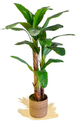 Maia Shop Banana Artificiale, Realizzata con i Migliori Materiali, Ideale per la Decorazione Domestica, pianta Artificiale (180 cm)