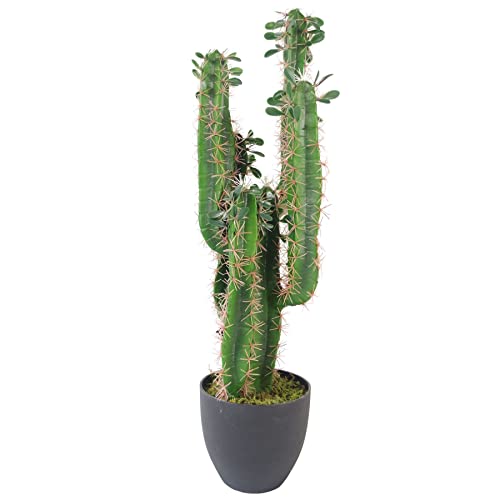 Leaf LEAF-7281 - Cactus artificiale con vaso, 75 cm