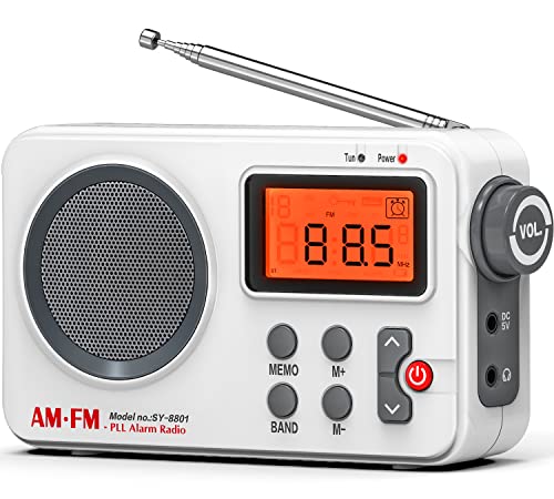 Tendak Radio Portatili FM/AM, Radiolina Portatile Piccola, Radio a Pile,Con un'eccellente qualità del suono, Schermo grande, sveglia, timer, radio a transistor alimentata via USB