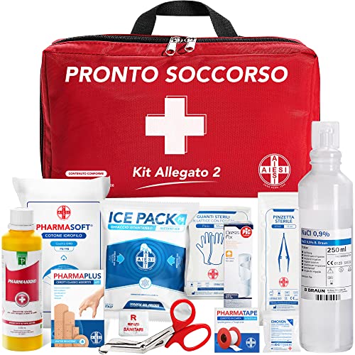AIESI® Cassetta medica di pronto soccorso (Borsa) con ALLEGATO 2 per aziende meno 3 dipendenti # Conforme DM388/DL81 # Made in Italy
