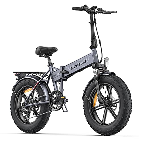 Fafrees EP-2PRO Bicicletta elettrica da 20 pollici, con batteria da 48 V, pieghevole, 150 kg, Bici elettriche per adulti, E-bike Pedelec per uomo e donna (grigio, 13AH)