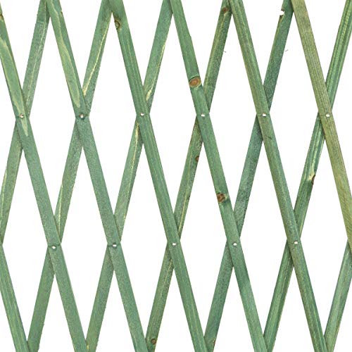 STI Traliccio in Legno Verde grigliato Estensibile 90x180 cm per Piante e Fiori