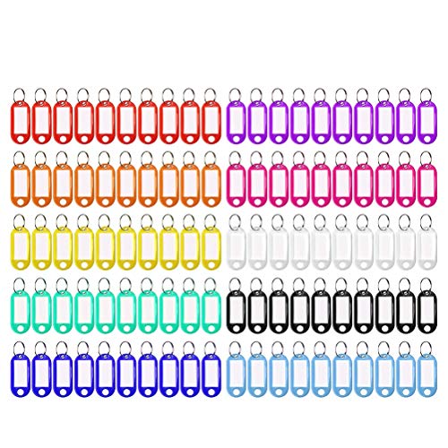 100 portachiavi in plastica scrivibile, targhette portachiavi porta chiavi per chiavi portachiavi con etichetta scrivibile (10 colori)