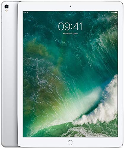 Apple iPad Pro 12.9 (2nd Gen 256GB Wi-Fi) - Argento (Ricondizionato)