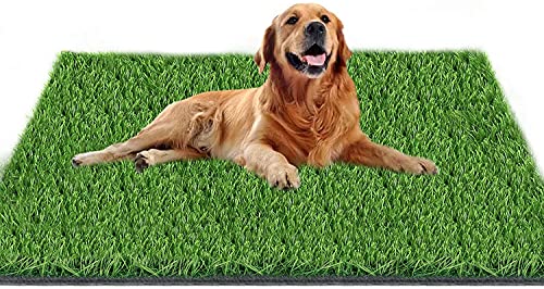 Tappeto erboso artificiale Fortune Star, tappeto erboso artificiale 130 x 80 cm, tappetini per cani e tappeti interni ed esterni, utilizzati per decorare l'area di addestramento del vasino per cani