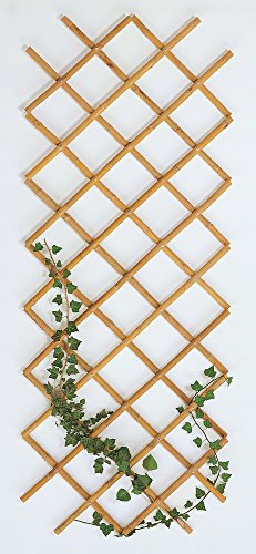 VERDELOOK Traliccio Estensibile in Bamboo, 150x180 cm, Ideale per Decorazione Esterni