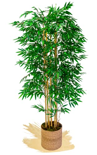 Maia Shop Alberi artificiali, tronchi naturali, realizzati con i migliori materiali, ideali per la decorazione domestica, pianta artificiale (180 cm, Bambù)