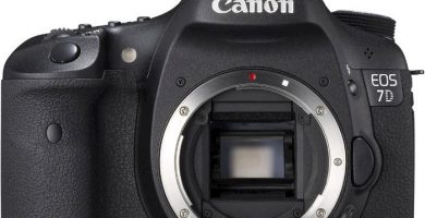 Canon 7D MediaWorld